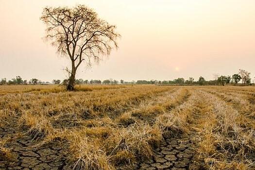 新研究：未来欧洲境内极端干旱的发生频率将上升