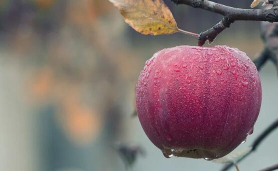 2020哈尔滨入秋时间表 哈尔滨入秋是几月几日