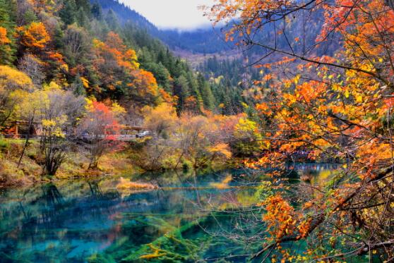 什么是处暑 处暑的处字是什么意思