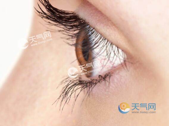 经常转动眼球可以恢复视力治疗近视吗 眼球经常转动能否治疗近视