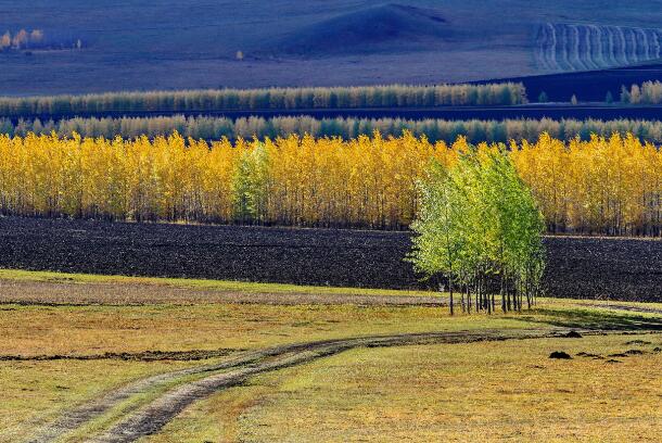 9月呼伦贝尔旅游哪里最美 九月呼伦贝尔这些地方秋色极美