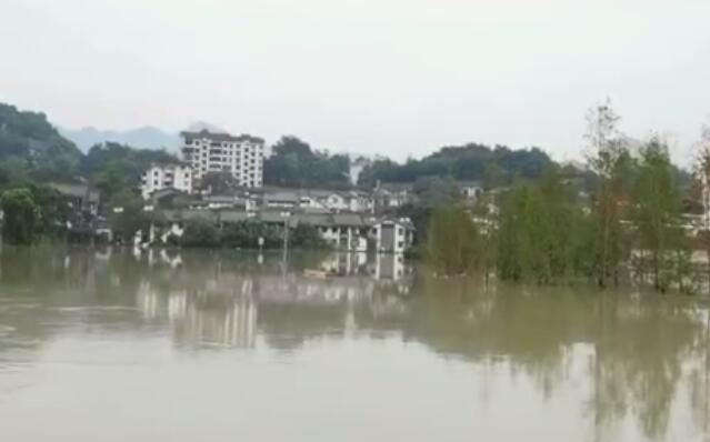 98年武汉洪水最高水位  98年长江武汉段水位是多少