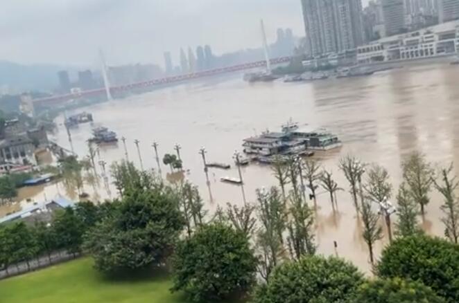 重庆1981洪水最高水位 1981年重庆洪水最高水位多少米