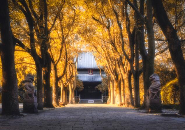 9月去南京哪里好玩 9月南京好玩有美好的地方