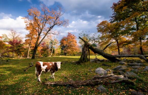 9月阿尔山旅游攻略 9月阿尔山自驾旅游路线推荐