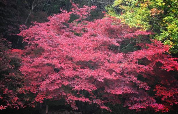 9月辽宁旅游去哪好 9月辽宁旅游最佳地点