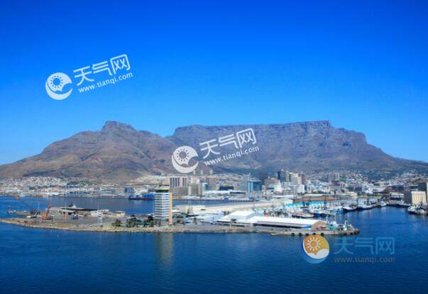 非洲有企鹅吗 非洲有没有企鹅存在