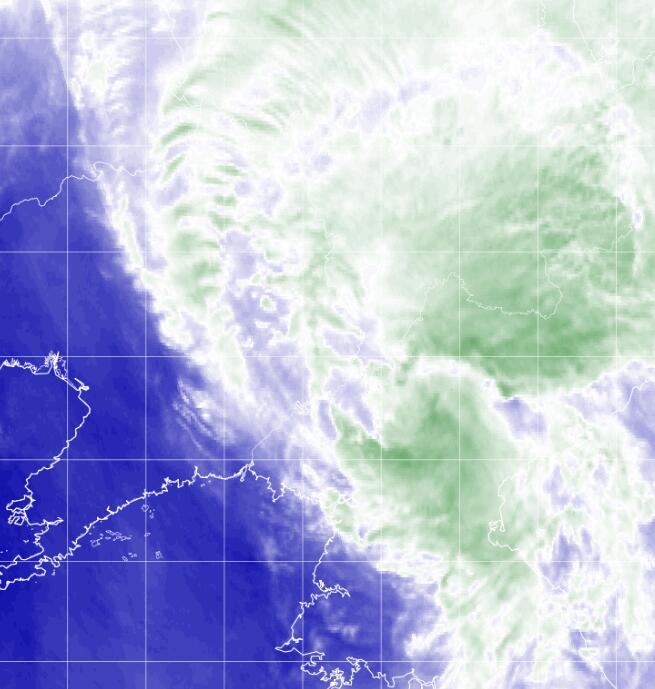 2020年第8号台风巴威路径系统卫星云图 云系覆盖我国东北暴雨已运达