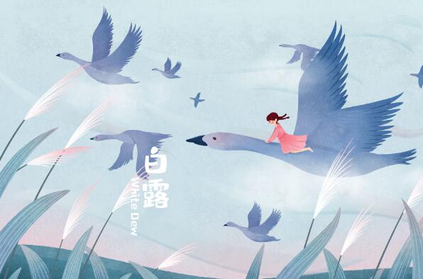 白露为霜上一句是什么 白露为霜什么意思