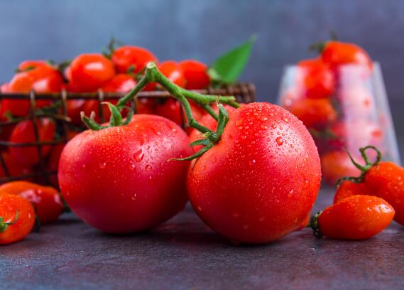 杨贵妃在唐朝能吃到西红柿吗 最早能吃到西红柿是什么朝代