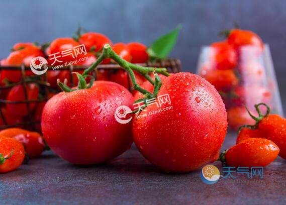 杨贵妃在唐朝能吃到西红柿吗 最早能吃到西红柿是什么朝代