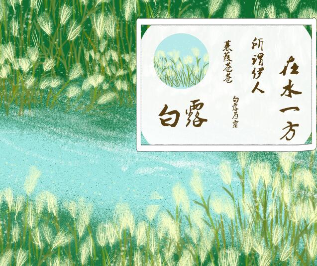 与白露有关的优美的诗句 关于白露节气的美好诗句及赏析