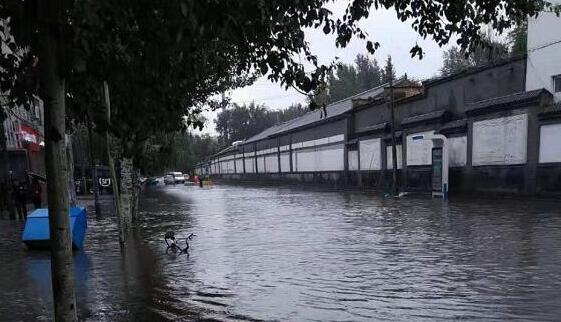 受台风“巴威”余温影响 内蒙古东部地雨势依旧强势