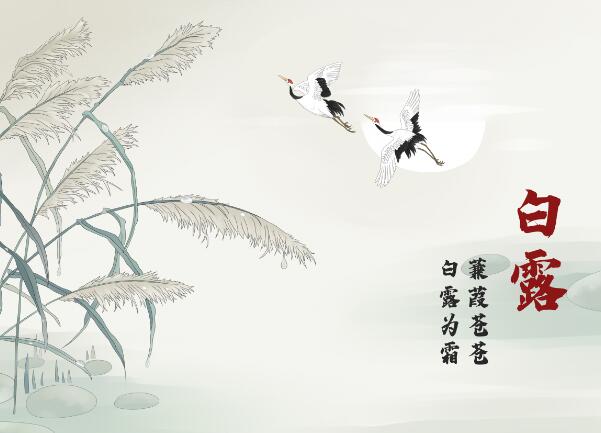 白露为霜上一句是什么 白露为霜什么意思