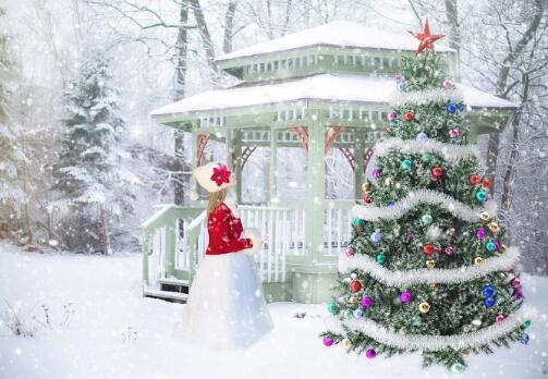 圣诞树是什么树 圣诞树是松树还是柏树