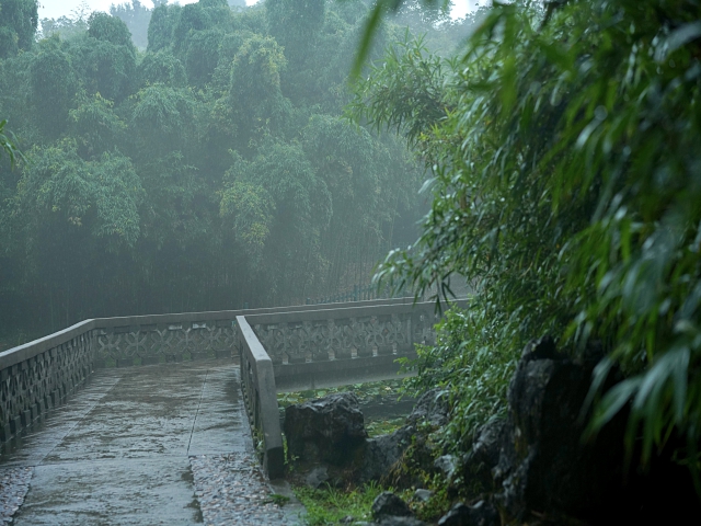 本周末浙江部分地区有雷雨 局地伴有短时暴雨