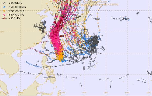 浙江台风最新消息2020 台风“美莎克”下周将影响我国近海