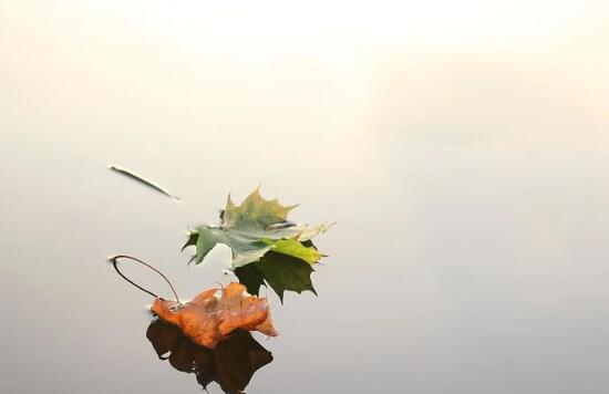 2020白露过后还要热多久 到了白露天气会凉快吗