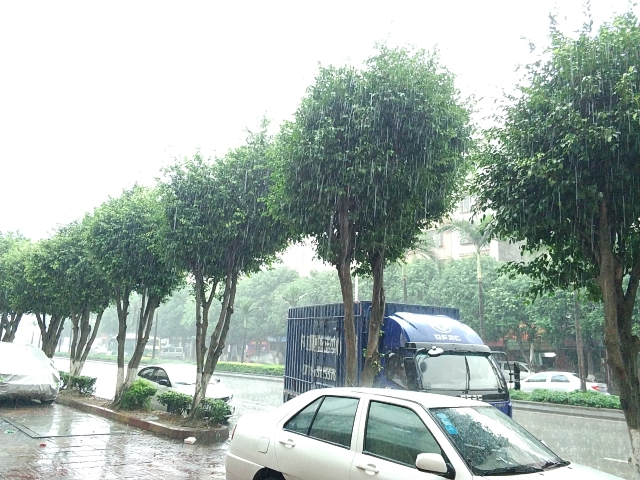 广东今明两天有大到暴雨 最高气温可达39℃