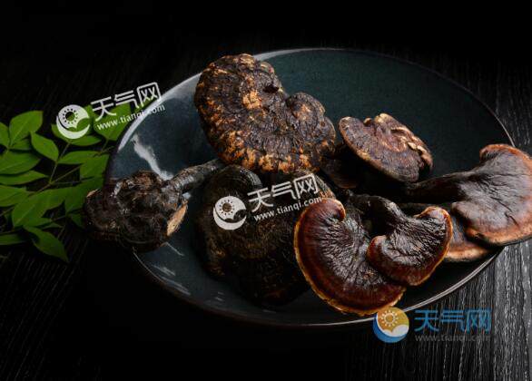 灵芝的年份越久功效越好吗 灵芝长的时间是不是越长越好