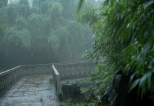 今日云南大部地区有强降雨 局地伴有强对流天气