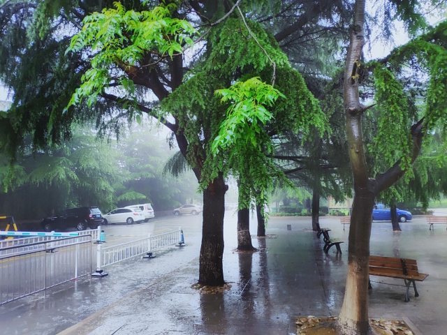 今明两天四川多地有强降雨 需注意防范次生灾害发生