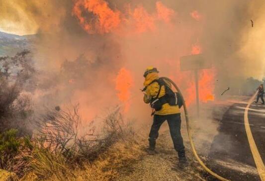 加州山火面积超1万英亩破纪录 8人死亡超3300座建筑被毁
