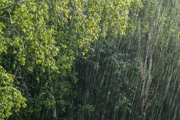 今日浙江大部地区将有强降雨 明后两天仍有雷雨天气