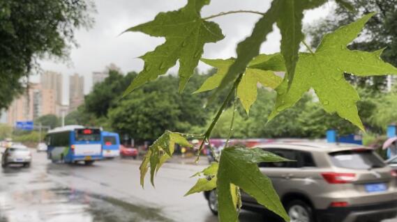 南方阴雨不断气温降到30℃以下 冷空气频繁造访华北西北