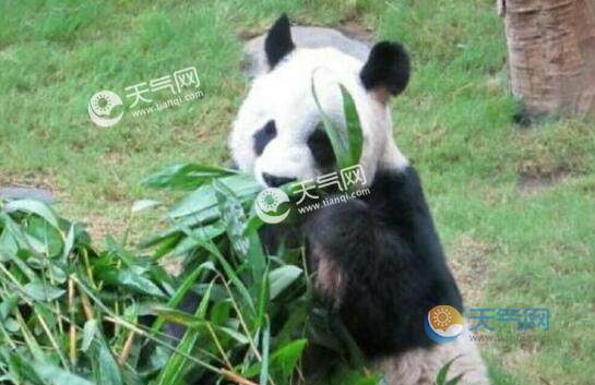 癫痫排行_贵州2021癫痫精准扶贫政策出台,最高可获10000元诊疗援助,限100...