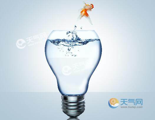 金鱼只有7秒记忆的含义 金鱼的记忆只有七秒是真的吗