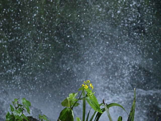 未来三天福建将持续有强降雨 伴有雷电等强对流天气