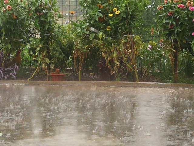 未来三天四川大部地区仍有强降雨 需注意防范次生灾害发生