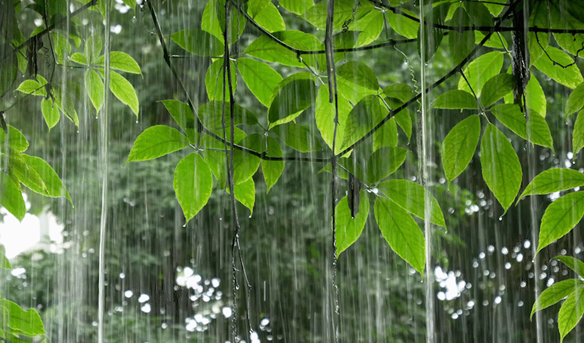 未来三天福建将持续有强降雨 伴有雷电等强对流天气