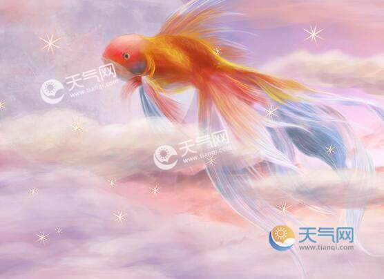 金鱼只有7秒记忆的含义 金鱼的记忆只有七秒是真的吗