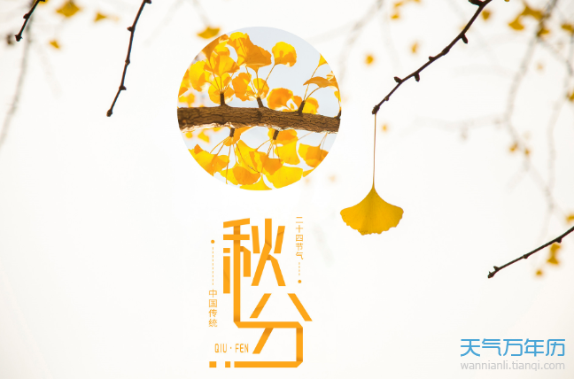 2,春分秋分,昼夜平分.   3,秋分稻见黄,大风要提防.