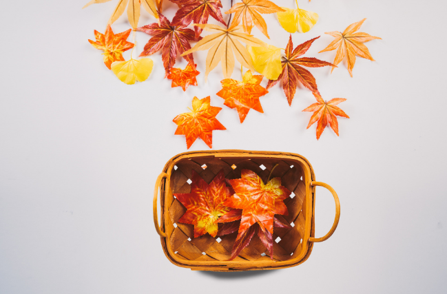 秋分有什么寓意 秋分节气的含义是什么