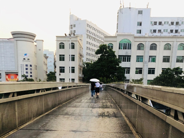 今明两天山东地区将有降雨天气 最高气温在24℃左右