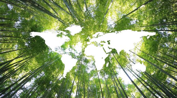 中国位于北半球还是南半球  中国是北半球的国家吗