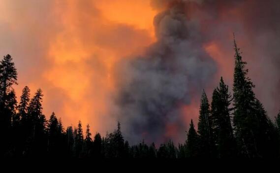 山火中美国民众跳湖保命是怎么回事 加州超过6万人被迫撤离