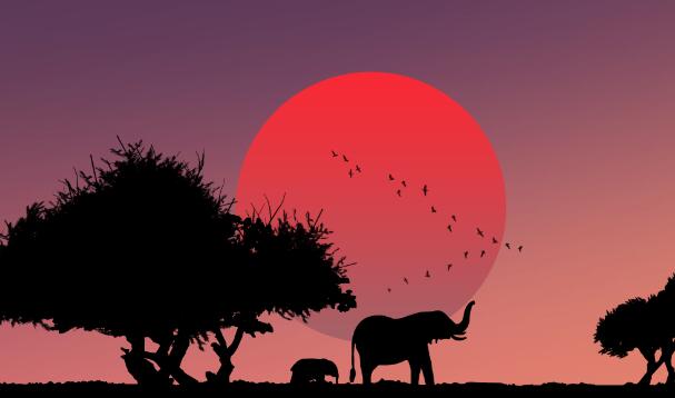 大象两只前脚掌的周长之和大约等于多少 大象两只前脚掌的周长加起来有多高