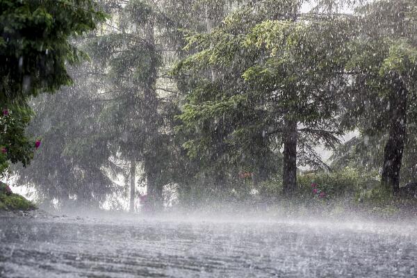 今明两天湖北地区大雨倾盆 最高气温低于20℃