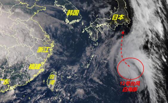 12号台风最新消息实时路径图 台风白海豚最强可达强热带风暴级