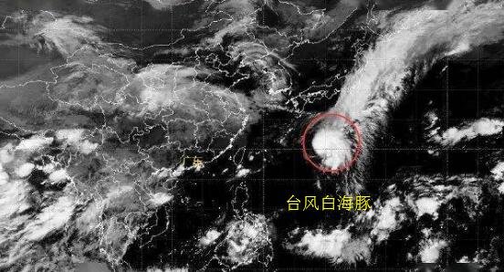 台风白海豚强度升级至强热带风暴 12号台风最新消息实时路径图今天