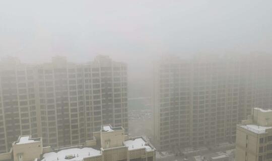 内蒙古多地出现大雾能见度不足500米 呼和浩特气温回升至20℃