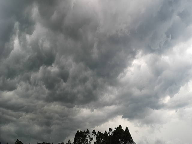 今日广东大部地区以多云为主 广州深圳等地局部有大雨