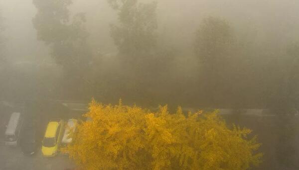 今早山东发布大雾黄色预警信号 多个高速路口已经临时封闭