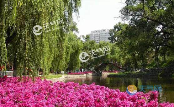 2020国庆景点人数排名_2020国庆16个省市旅游数据排排坐