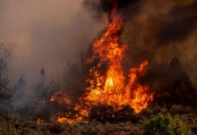 加州部分地区达到火灾临界水平 目前累计发生8000多起山火