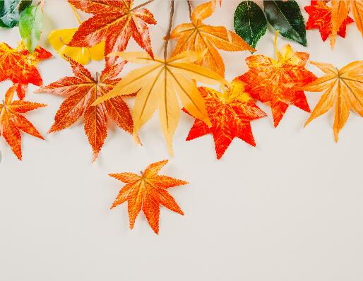 中秋节天气穿什么衣服 一般中秋节天气热不热
